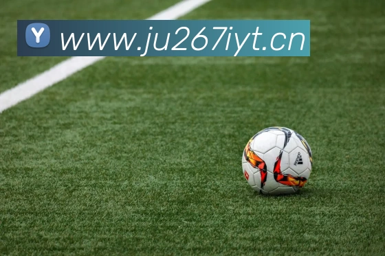 开云app平台登录入口平台生态图