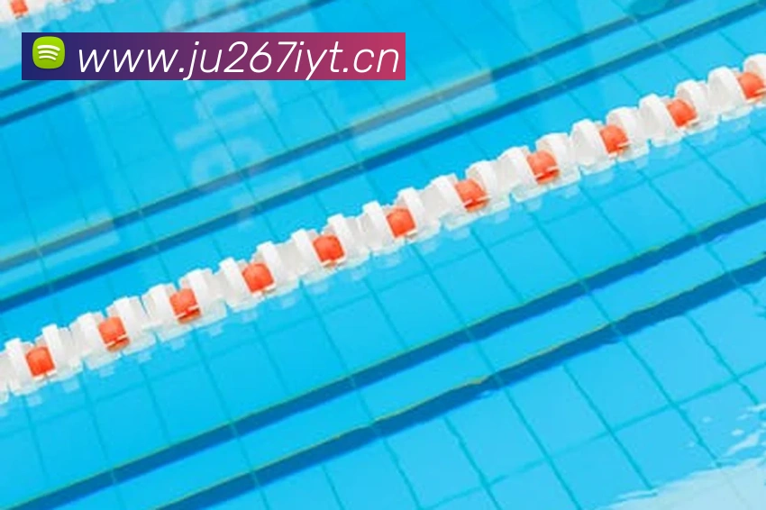 开云app平台登录入口全站App